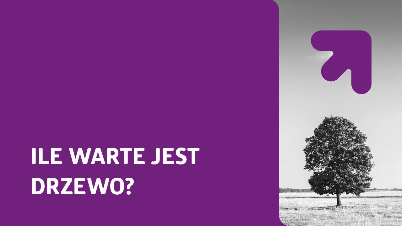Ile warte jest drzewo? &ndash; prof. Jakub Kronenberg