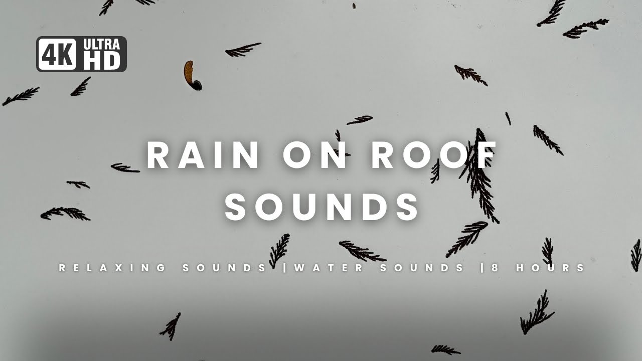 Relaxing Sounds of Rain on a Roof | 8 Hours