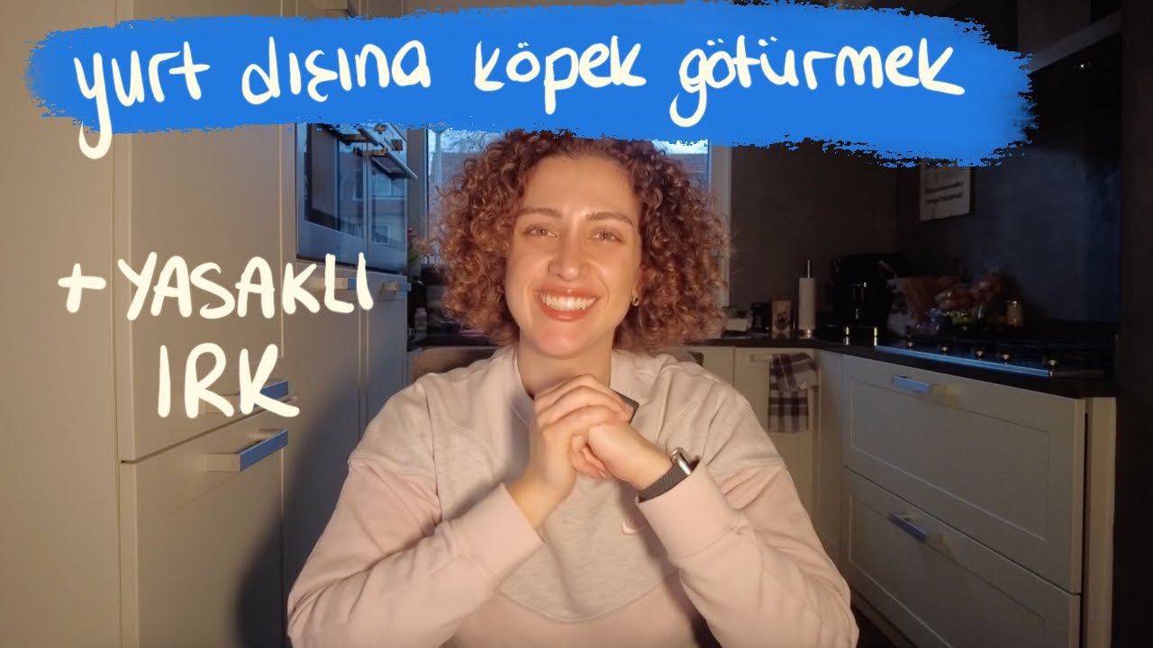 K&ouml;peğinizi Yurt Dışına Nasıl G&ouml;t&uuml;r&uuml;rs&uuml;n&uuml;z?