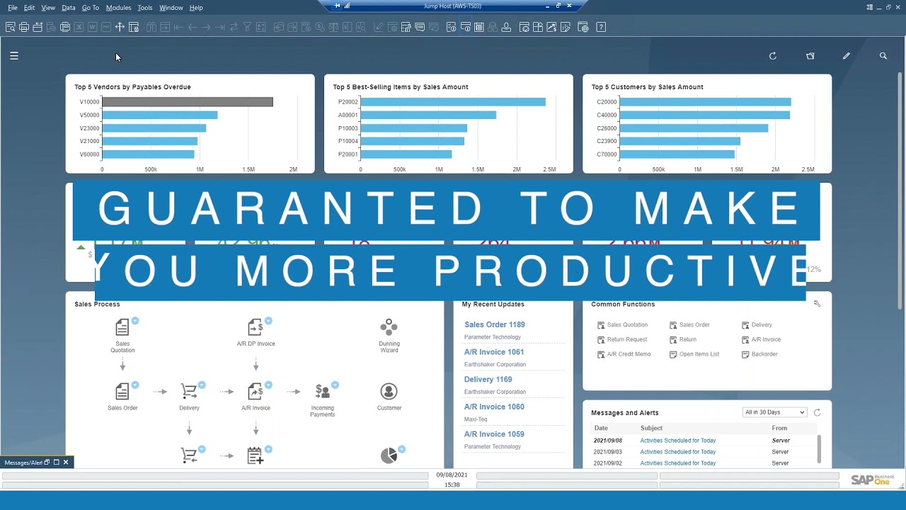 Reporting and Analytics [SAP Business One]