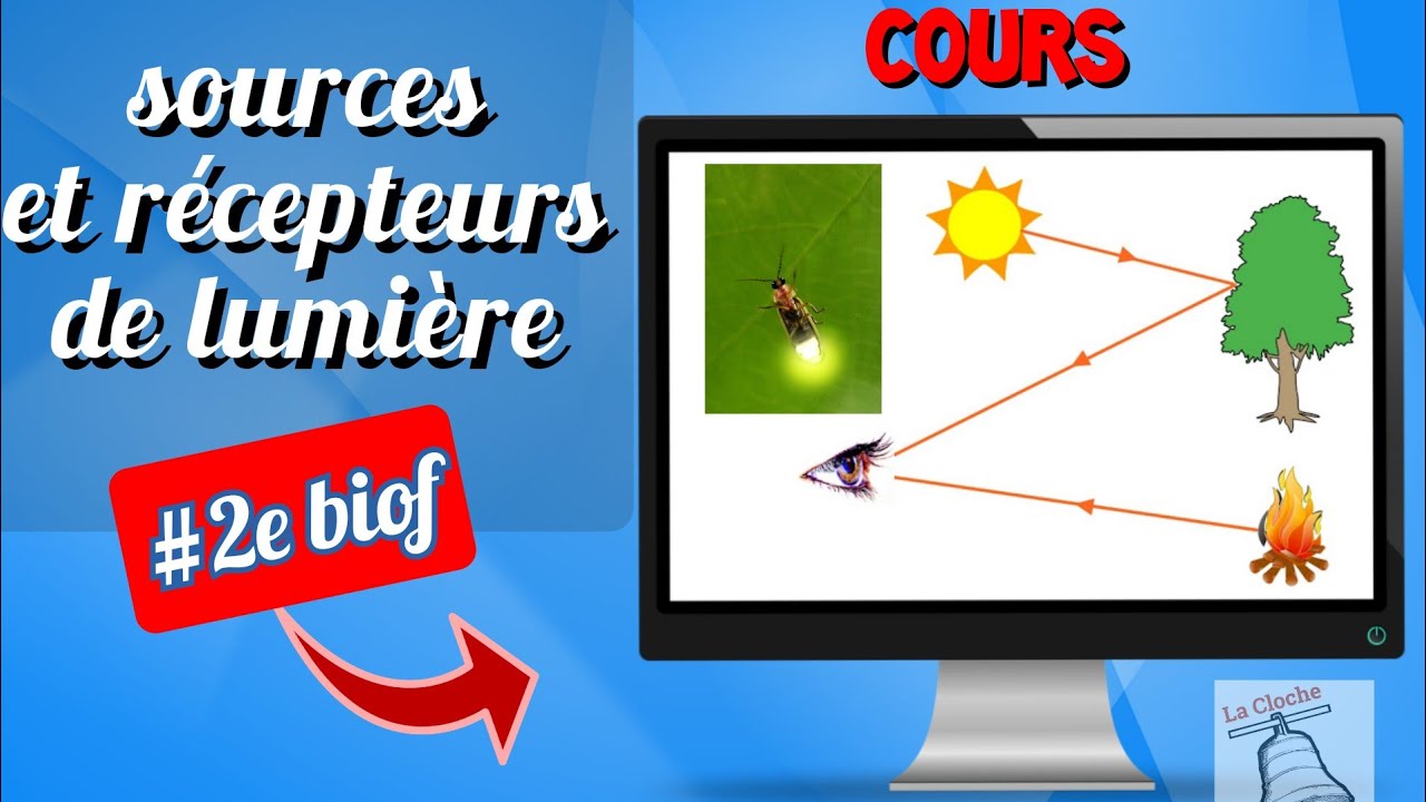 2e COLLÈGE BIOF/SOURCES ET RÉCEPTEURS DE LUMIÈRE