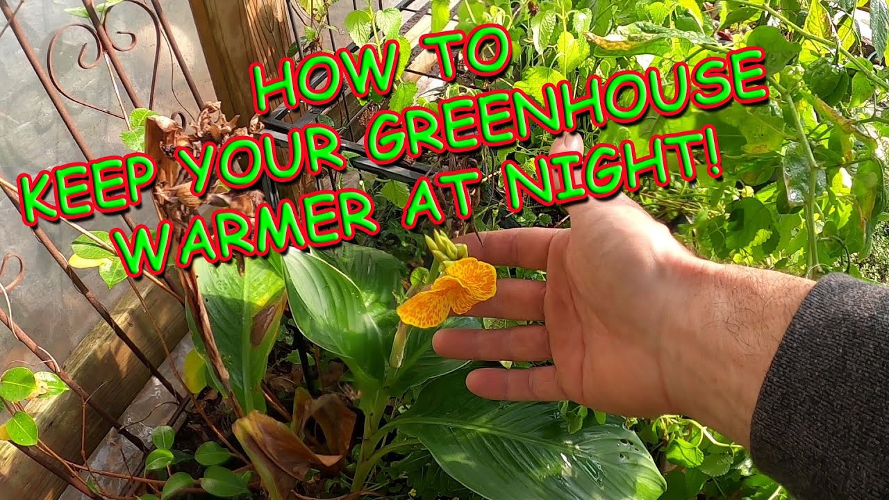 How to Keep Your Greenhouse Warm Through Long Winter Nights
