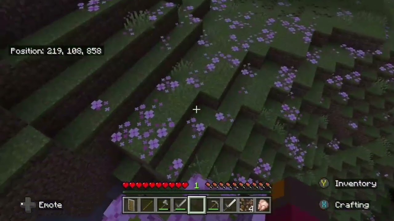 Playing minecraft with @likingwave1899 ep 1 first steps