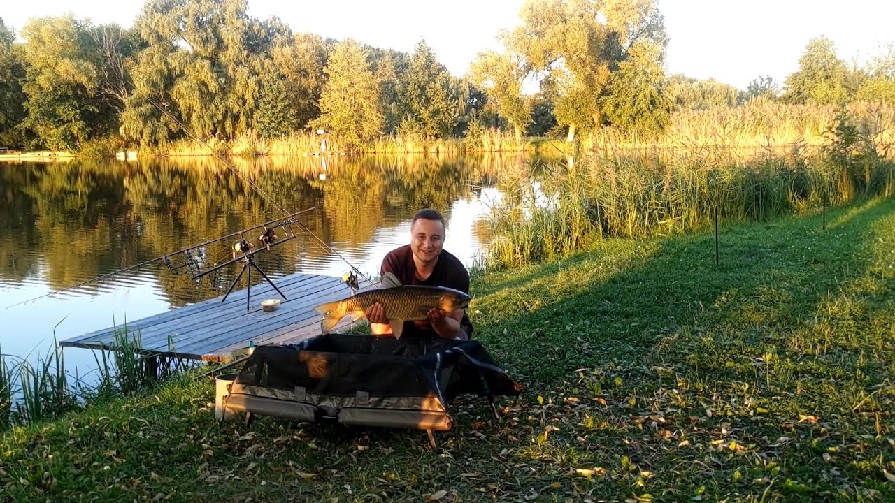 Ловля Амурів на Озері Дар: Моє Перше Знайомство з Цією Прекрасною Водоймою