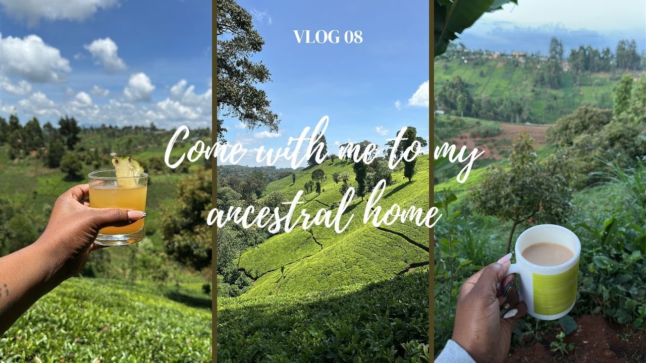Homecoming in a Teacup: Returning to My Ancestral Home