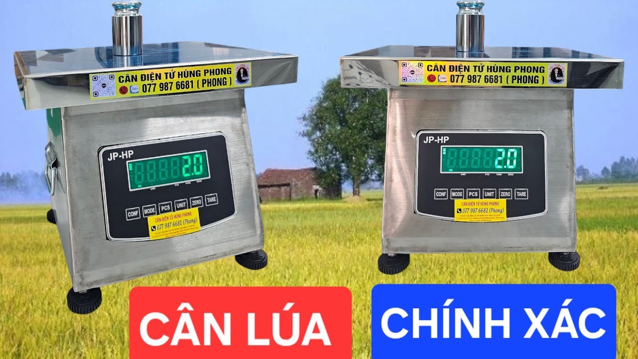 CÂN ĐIỆN TỬ CÂN LÚA CHÍNH XÁC ,CÂN GHẾ HỘP INOX 304