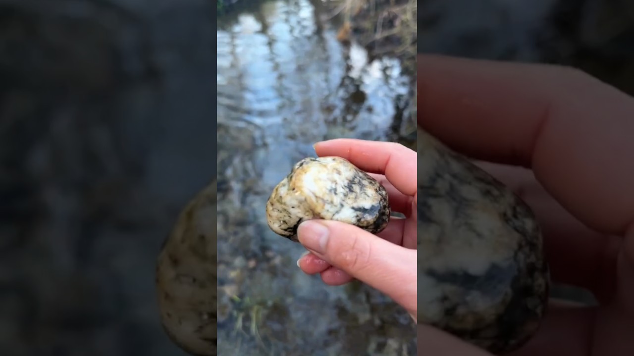 England River Crystal Find 💎 