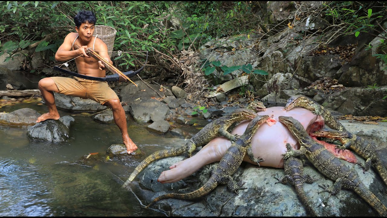 survival in the rainforest - Frogs and Asian water monitor