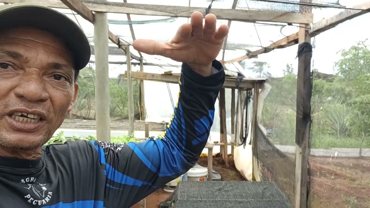 ai tem uma resposta sobre minadora