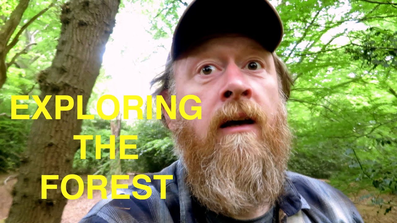 Adrift in London's Epping Forest