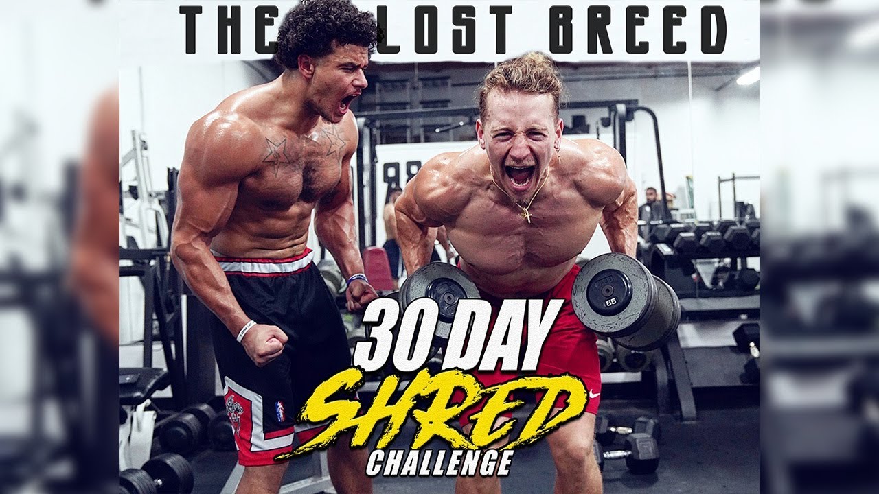 30 Day Shred Challenge Day 1| Get Shredded Now!