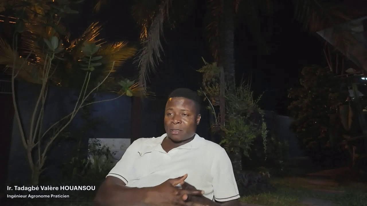 Agriculture ou armement en Afrique ?