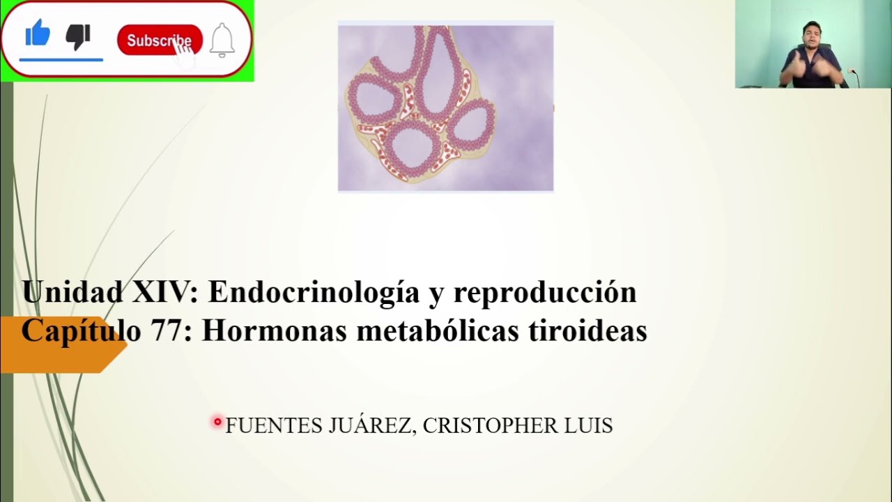 FISIOLOG&Iacute;A: HORMONAS METAB&Oacute;LICAS TIROIDEAS