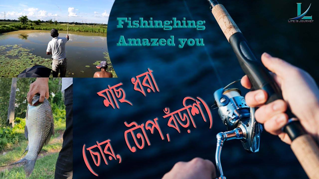 Best Fishing Videos Using Fishing Rod | Fishing Hook