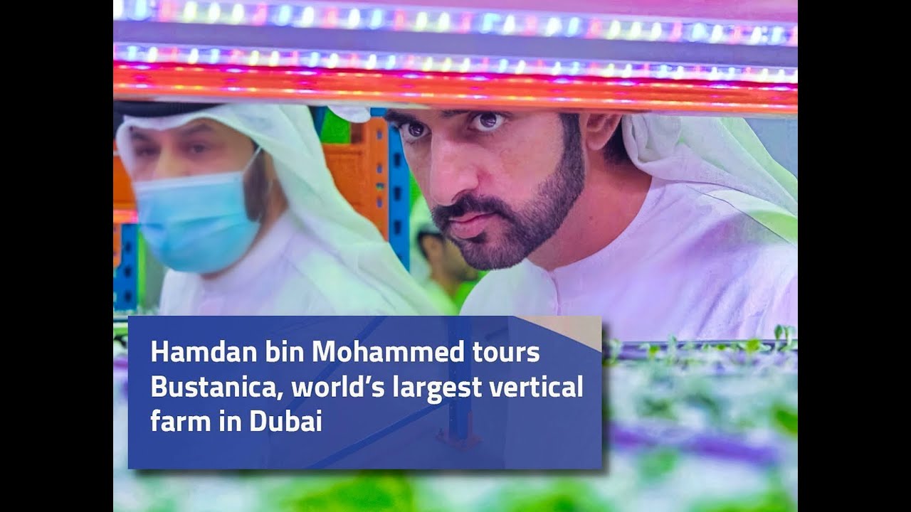 Sheikh Hamdan (فزاع 𝙁𝙖𝙯𝙯𝙖) tours Bustanica, the world’s largest vertical farm in Dubai.
