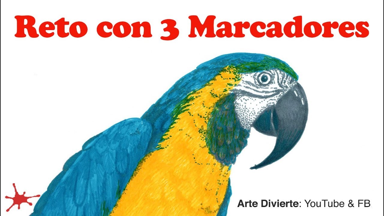 RETO CON 3 MARCADORES - Una guacamaya