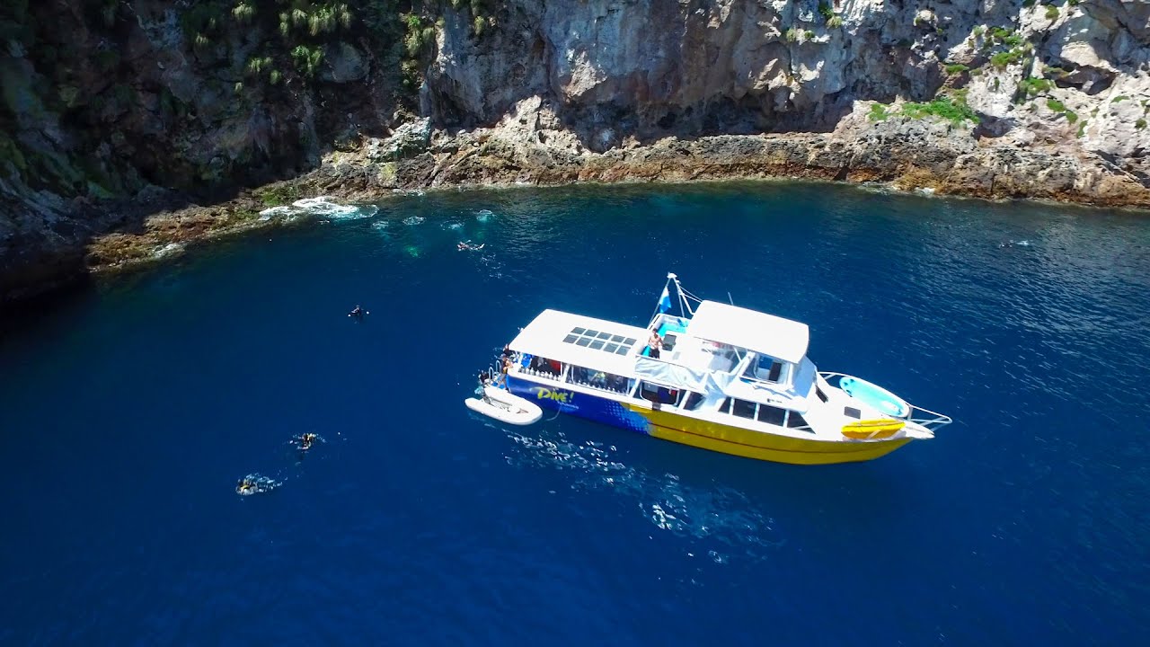 Dive Tutukaka - Exploring the Poor Knights!