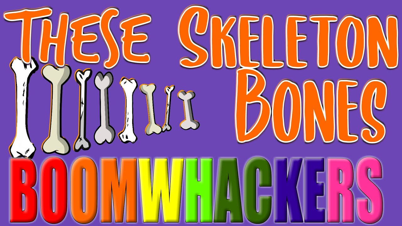 These Skeleton Bones | Boomwhackers & Xylophone
