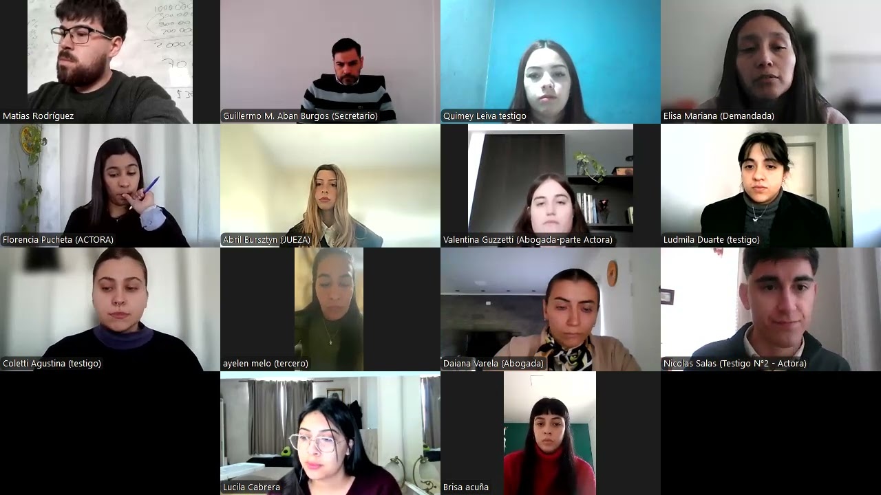 PUCHETA FLORENCIA C/ TORREZ ELISA S/ DAÑOS Y PERJUICIOS