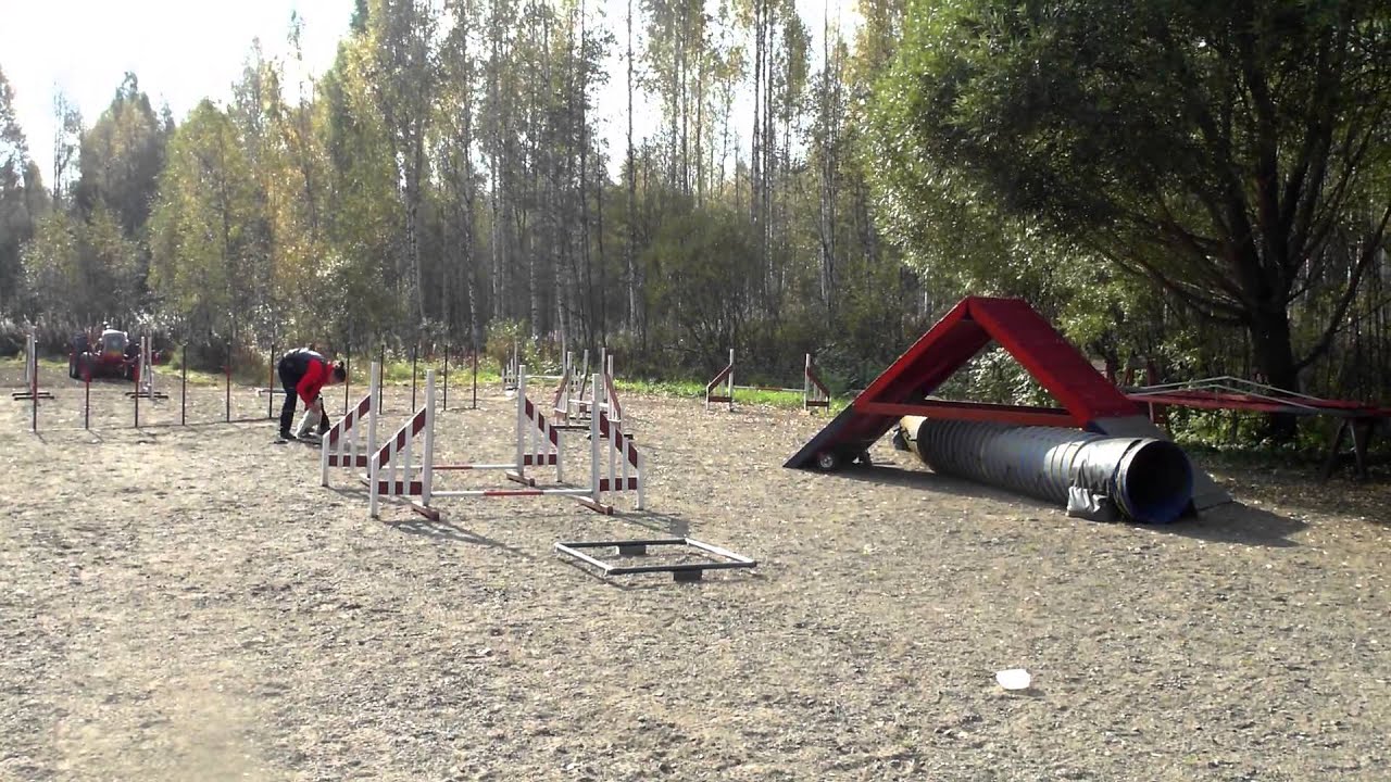 Agility a-frame running contact ground work