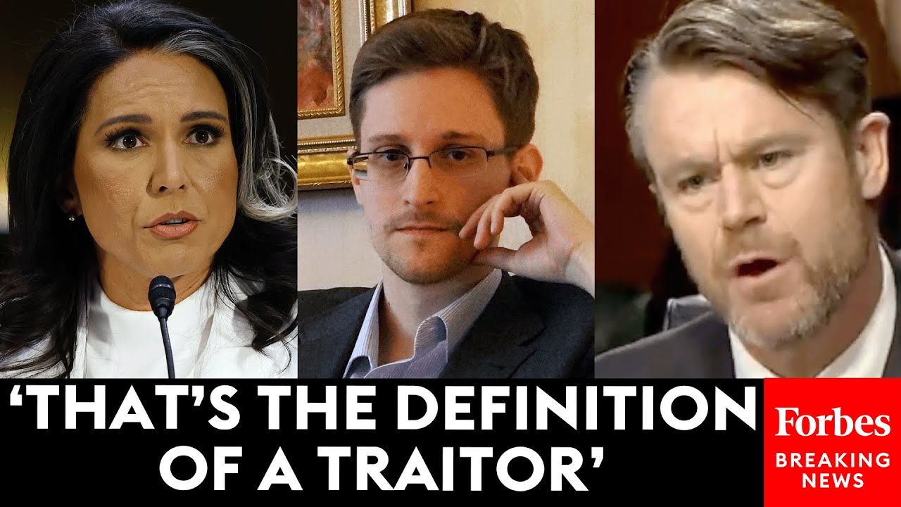 JUST IN: Todd Young Repeatedly Asks Tulsi Gabbard To Clarify Her Position On Edward Snowden