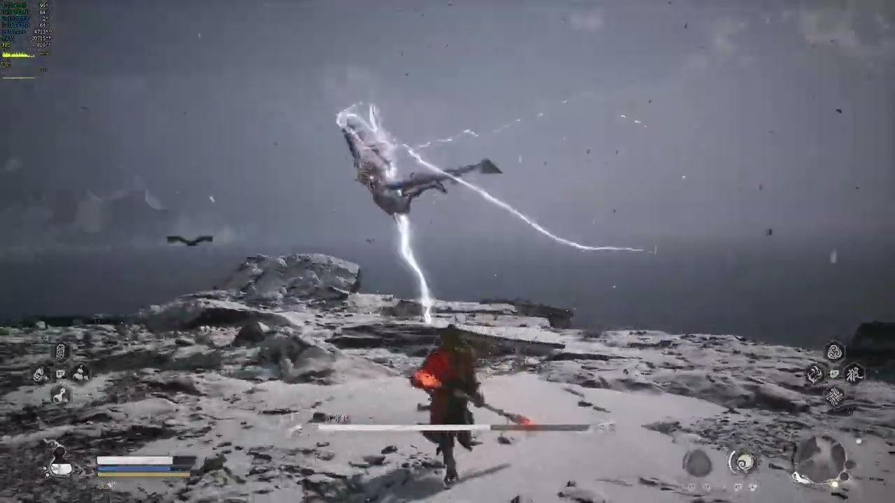 青背龍