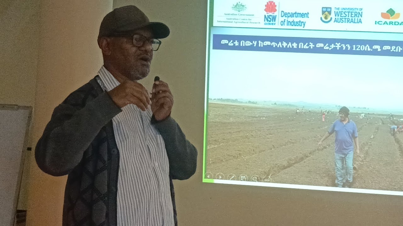 በACIAR Project ድጋፍ በጥቁር አፈር ላይ የምስርን ምርትና ምርታማነትን ከፍ ማድረግ የሚችሉ የተለያዩ ቴክኖሎጂዎችን ያስረከብንበትን የሚያሳይ