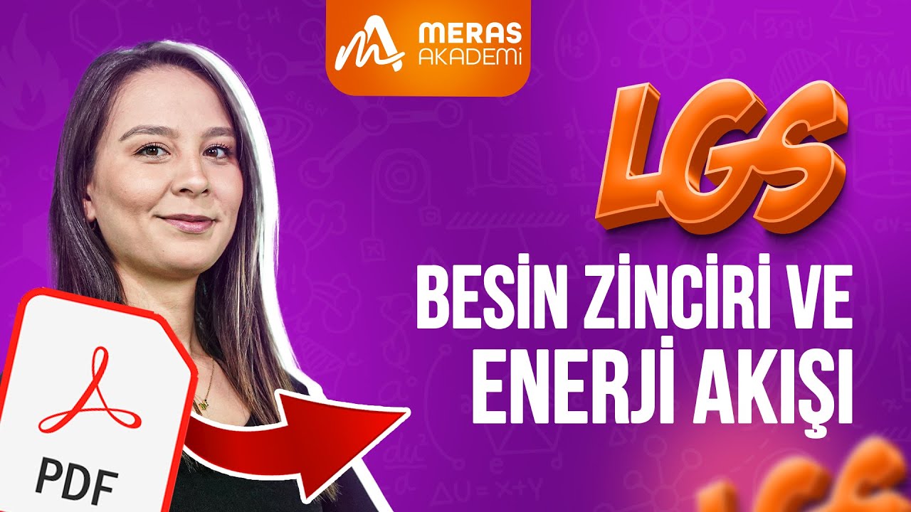 Besin Zinciri ve Enerji Akışı | Konu Anlatımı | 2025 LGS