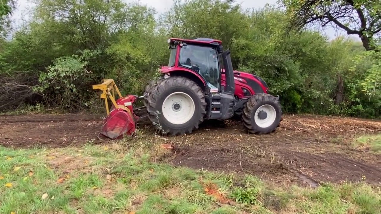 Mulčovanie v sade