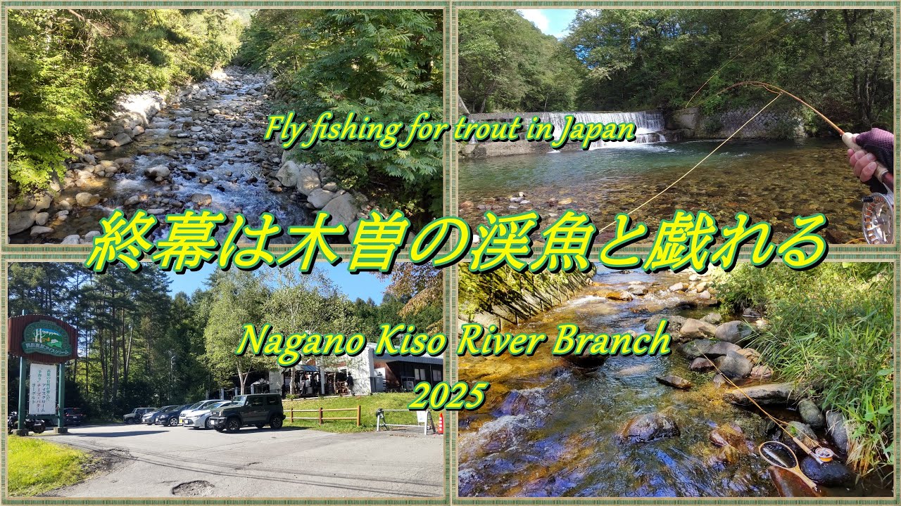 2025シーズンありがとうございました！ 終幕は木曽の渓魚に逢いに行こう～ (^^♪ 【 フライフィッシング 渓流釣り 木曽川漁協管内 】