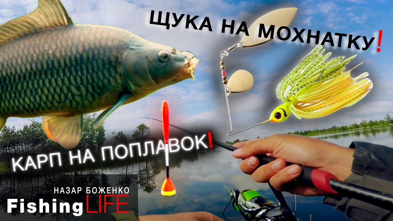 Риболовля в КЛЬОВОМУ місці. Велика риба ПОРВАЛА снасть. Щука на спінербейт.