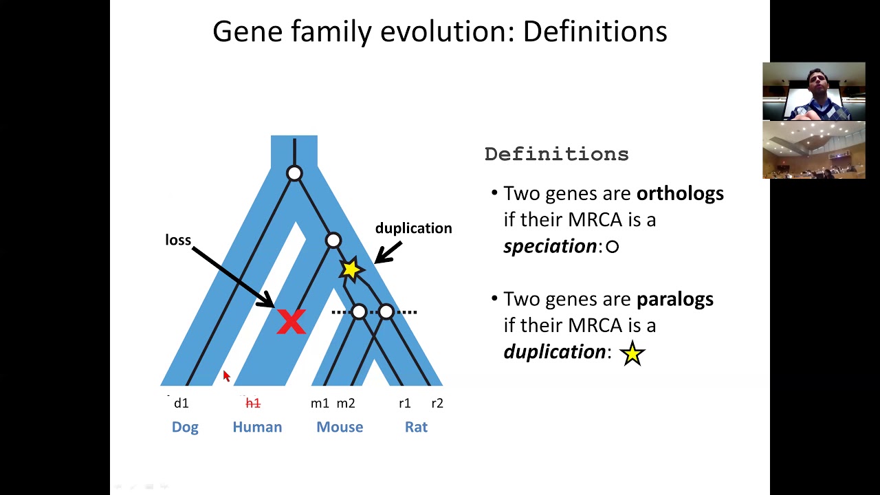 MIT CompBio Lecture 20 - Phylogenomics