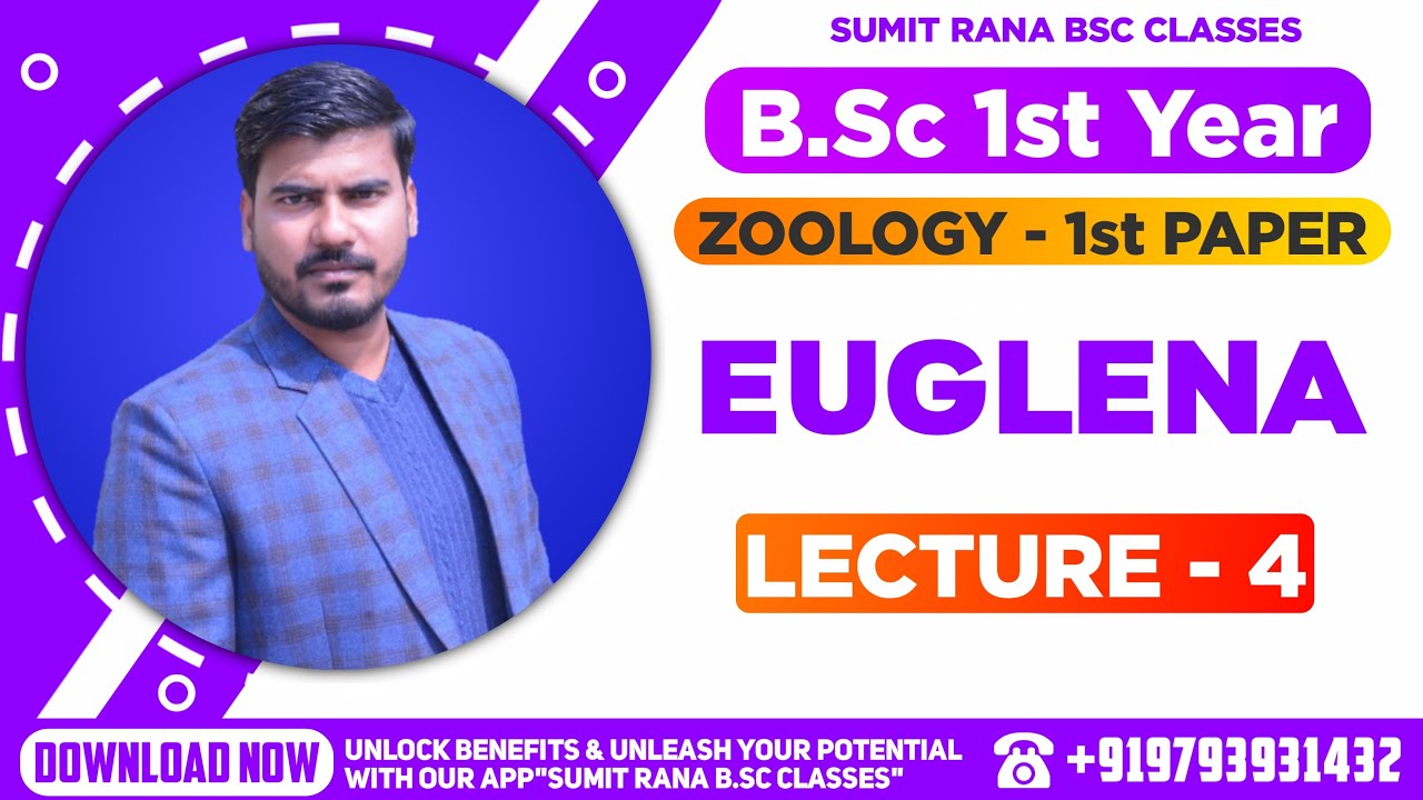 (Lt-04) EUGLENA Part-2 || B.Sc.1st Year Zoology