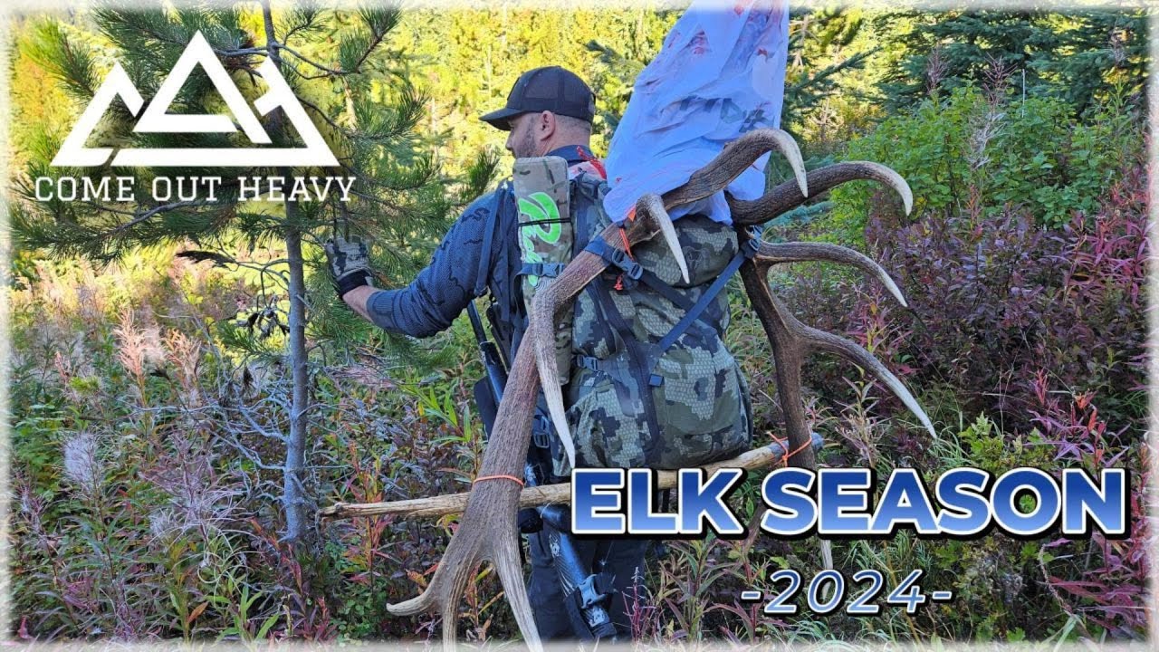 | ELK HUNT -2024- | HUNTING BULL ELK IN THE RUT | BRITISH COLUMBIA |