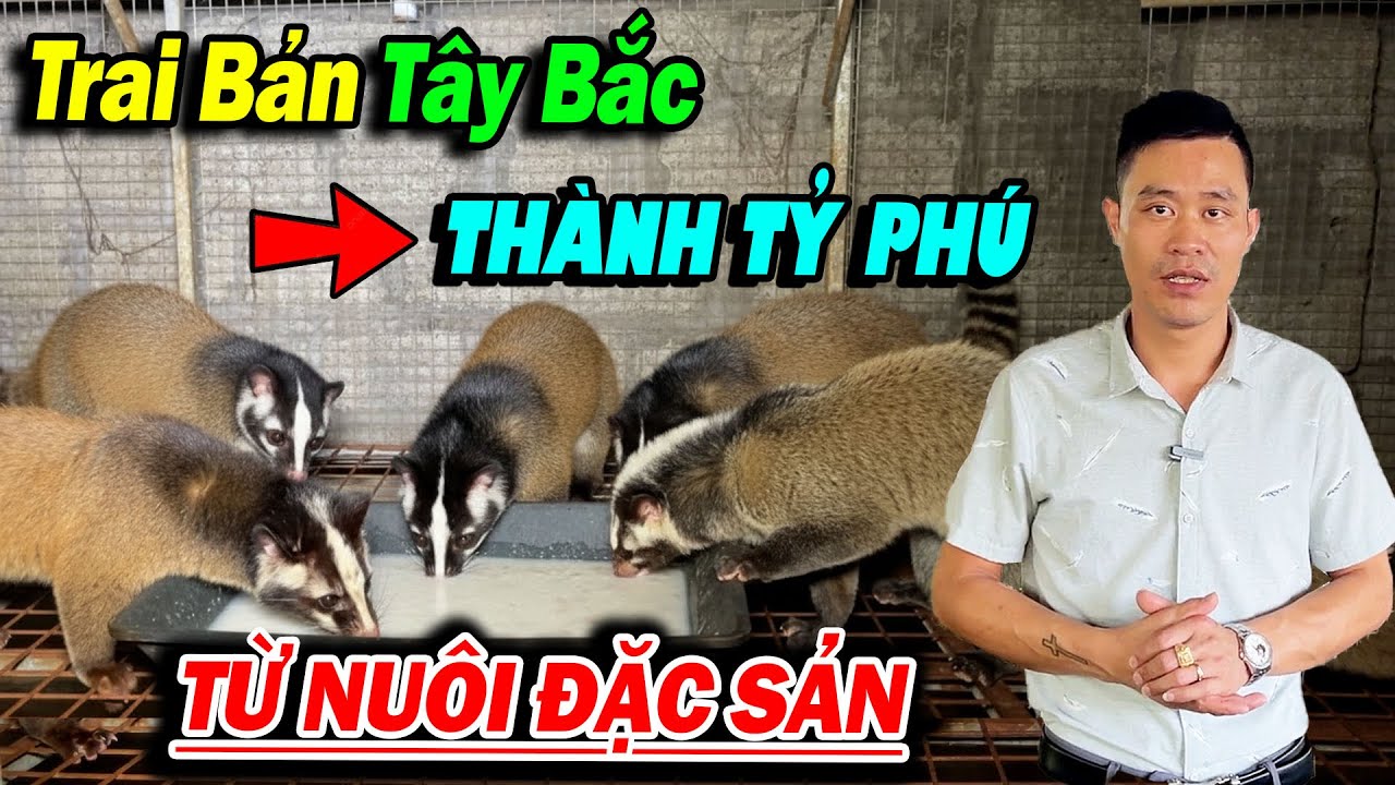 TRAI BẢN VÙNG TÂY BẮC TRỞ THÀNH TỶ PHÚ TỪ CHĂN NUÔI ĐẶC SẢN CHỒN MỐC | ĐI LÊN TỪ LÀNG