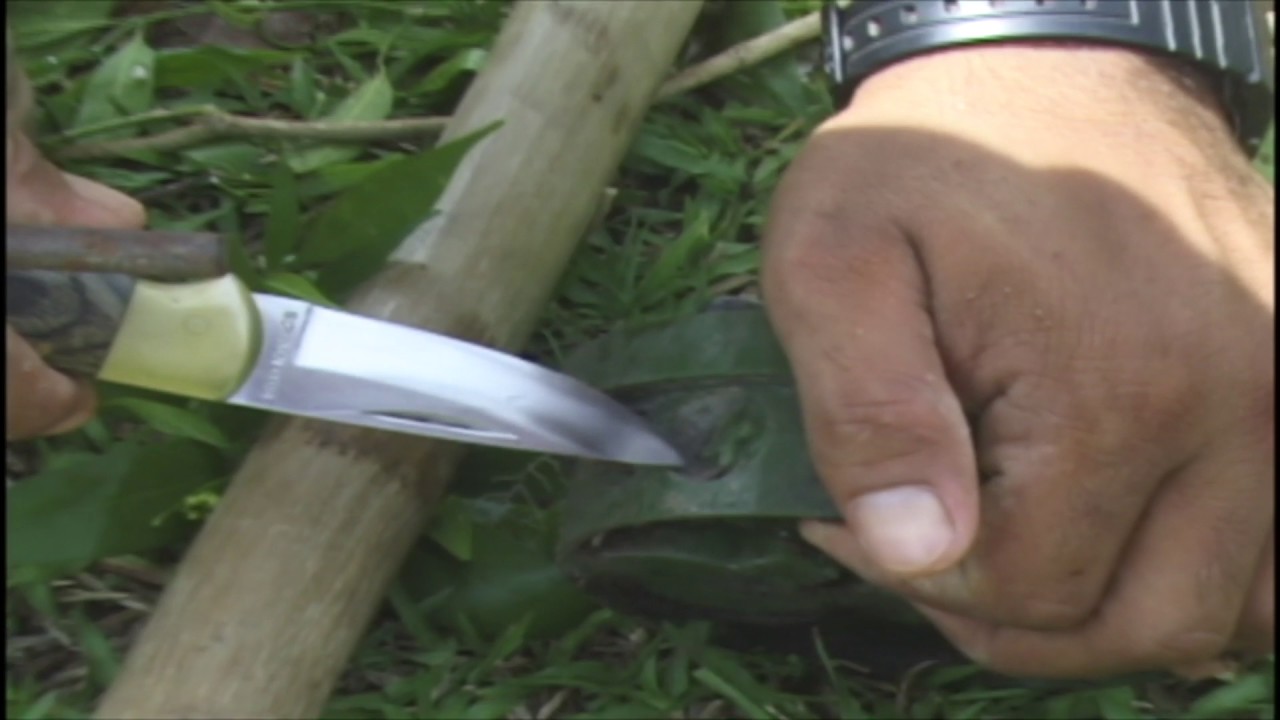 True reality Aki Ra Clearing Landmines