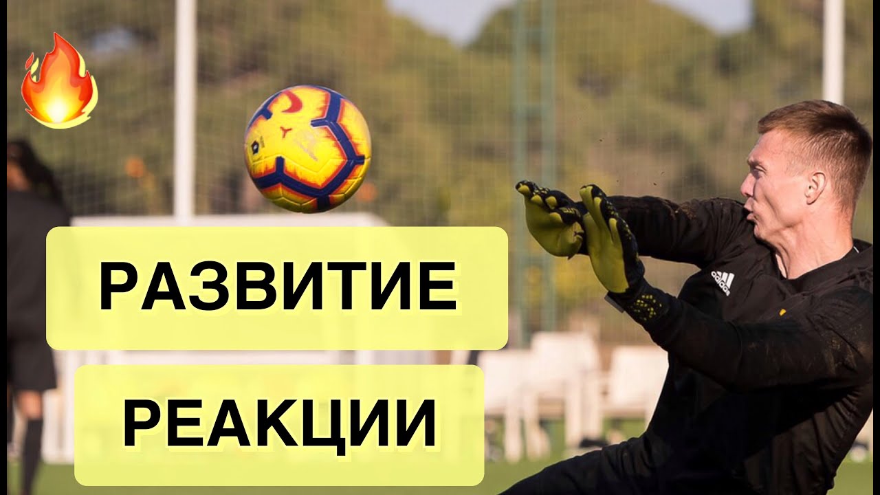 Развитие Реакции! Тренировка Вратарей. Goalkeeper Training.