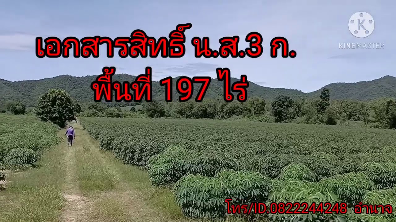 อน.138 ที่ดิน อ.บ้านไร่ เอกสารสิทธิ์ น.ส.3ก. พื้นที่197ไร่ ขายเหมา 30ล้านบาท โทร/Line ID.0822244248