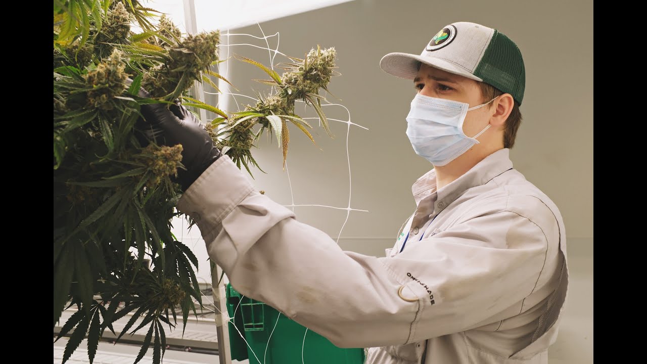 Compassionate Cultivation Facility Tour