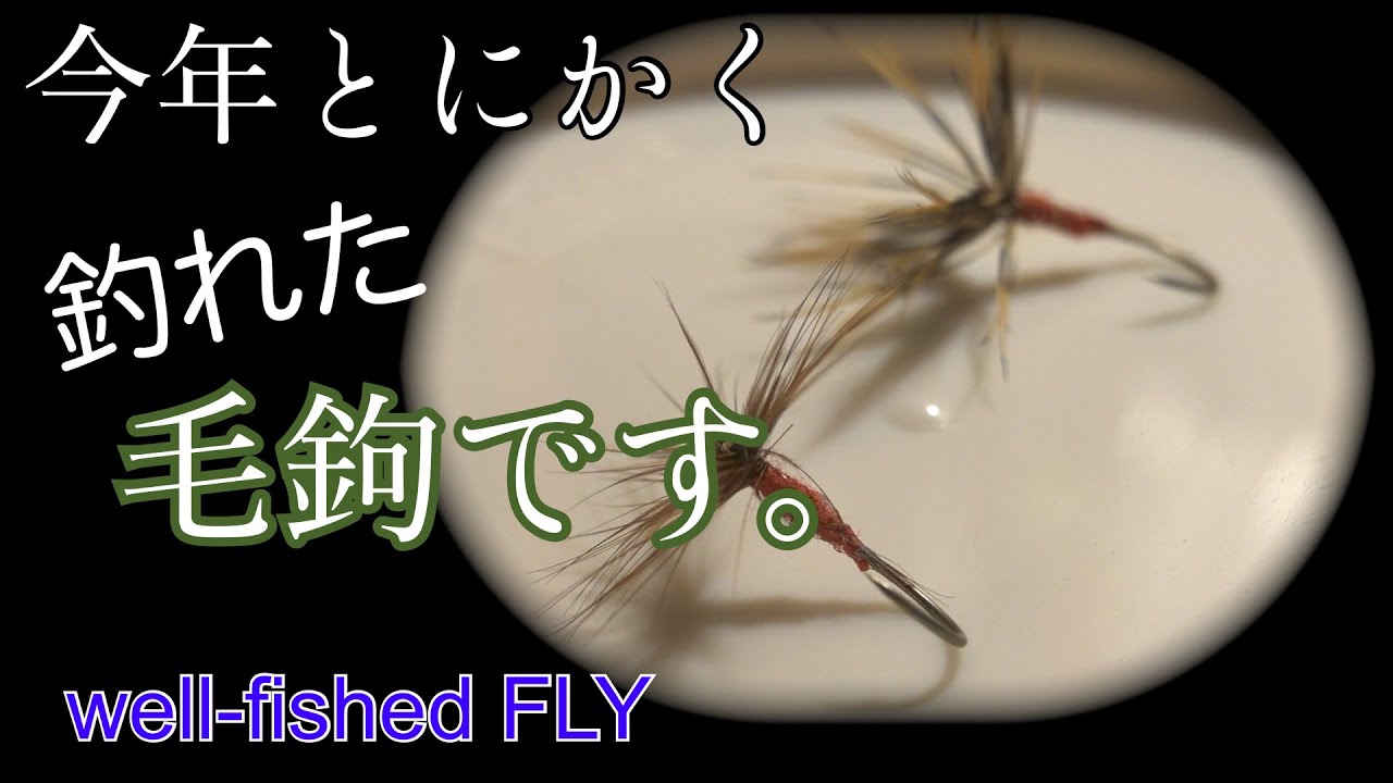 テンカラ釣り　入門　当たり毛鉤と巻き方　best fishing fly and how to tie it