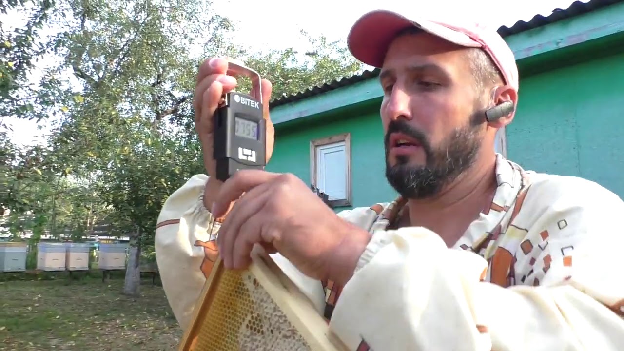Про рамки 11.08.2020