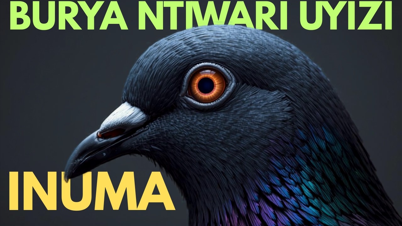 INUMA: Uko yatabaye abasirikare ku rugamba Kenshi.