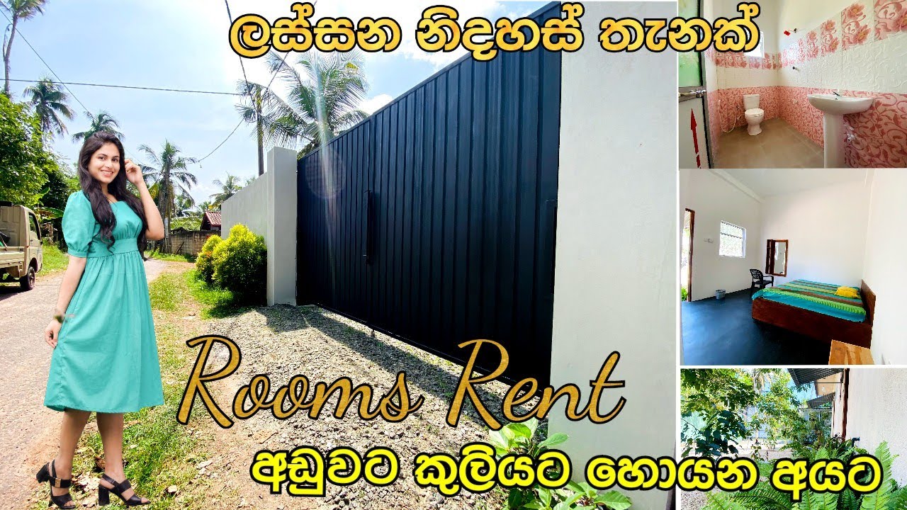 අඩුවට කුලියට හොයන අයට දිවුලපිටිය නගරයට සමීපයෙන් | ලස්සන නිදහස් තැනක් #rent #acland