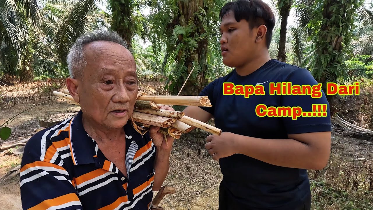 PANIK!!!…Bapa Hilang Dari Camp ?….  Tengok Balik Bawa Umbut Rotan… Syukur Sangat..!!!