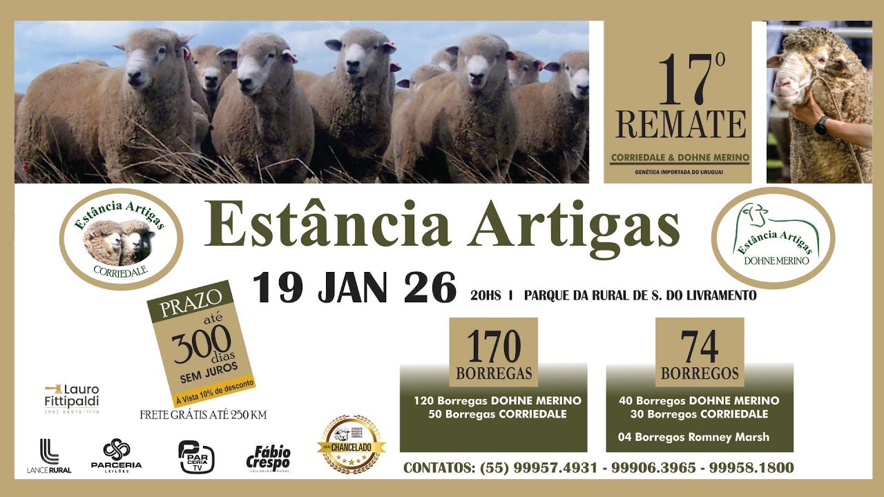 17º REMATE CORRIEDALE & DOHNE MERINO ESTÂNCIA ARTIGAS
