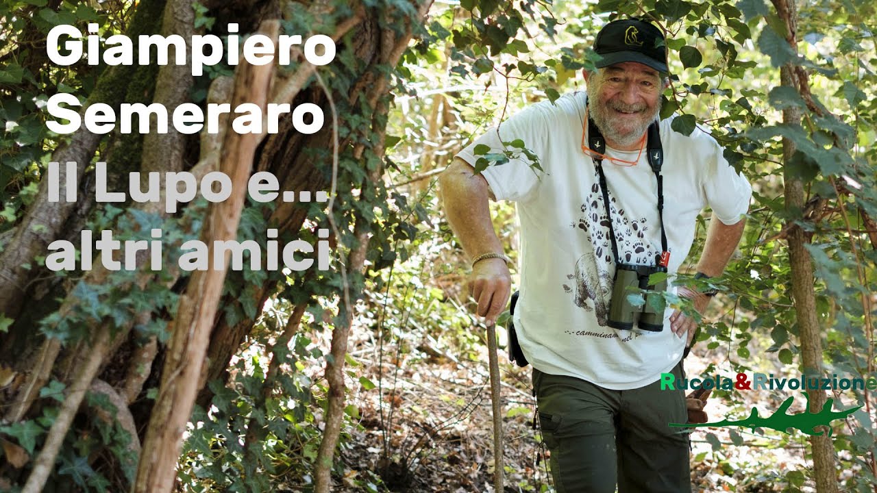 Giampiero il Lupo e altri amici