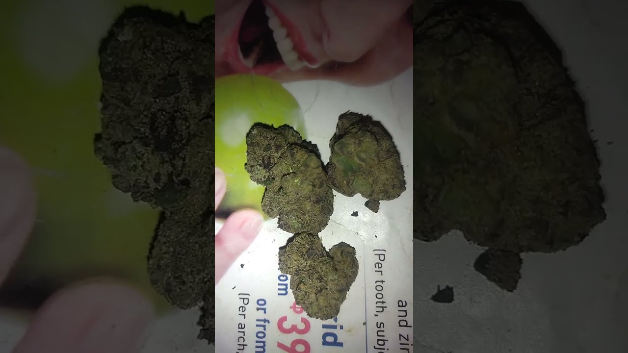 Zoap Strain Review 