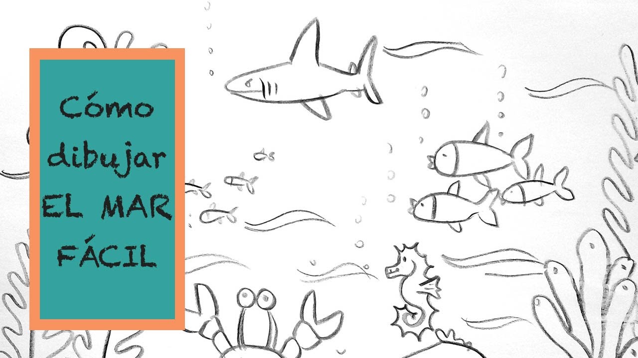 Cómo dibujar el fondo del MAR fácil para todos  🐟🦀🐚🏖