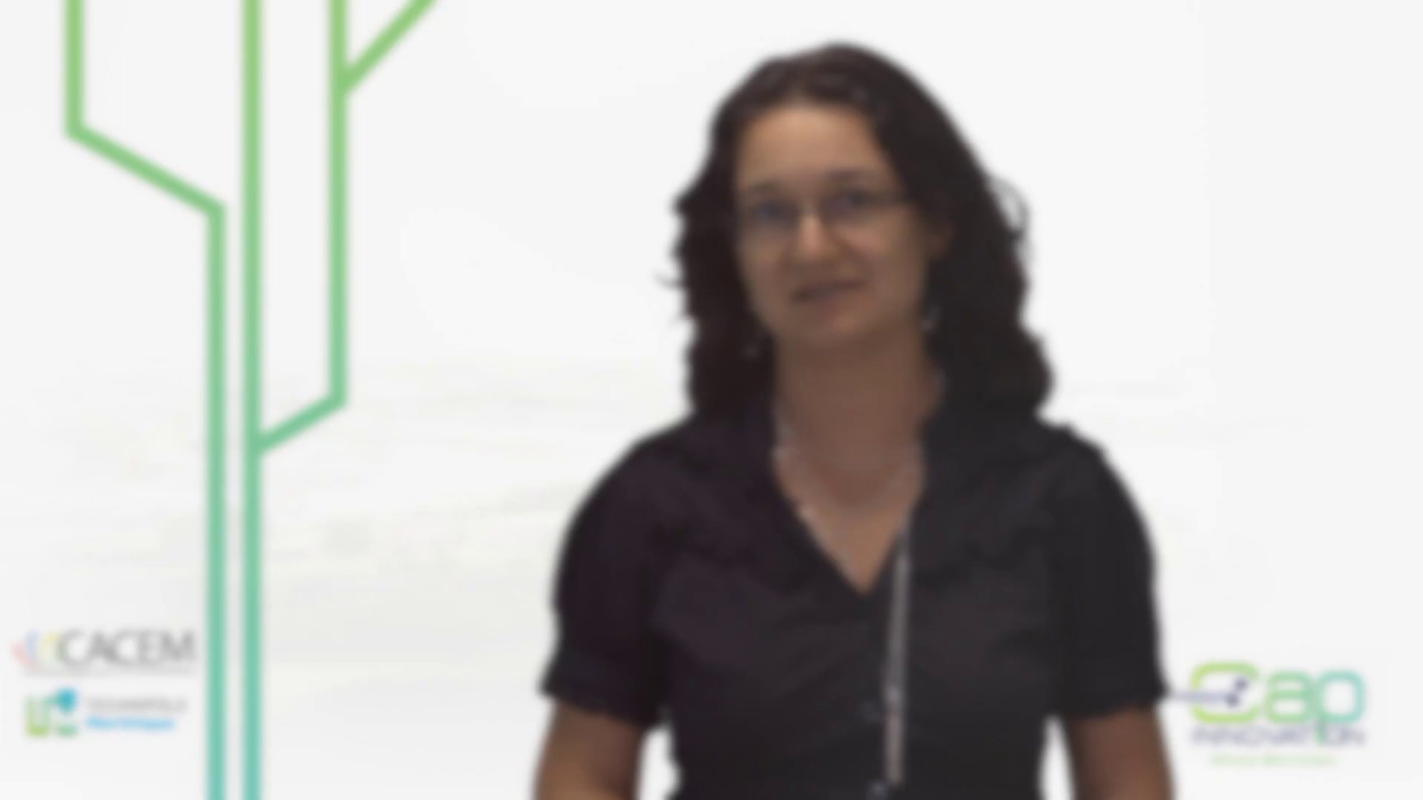 R&eacute;seau Cap Innovation Martinique - Pr&eacute;sentation de la P&eacute;pini&egrave;re d'Entreprises de la Technopole