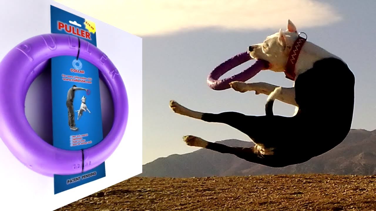 PULLER Collar - dog training